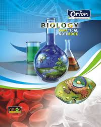Orion Laboratory NoteBook Only Board Practical (22cm*28cm) (Pack of 1)